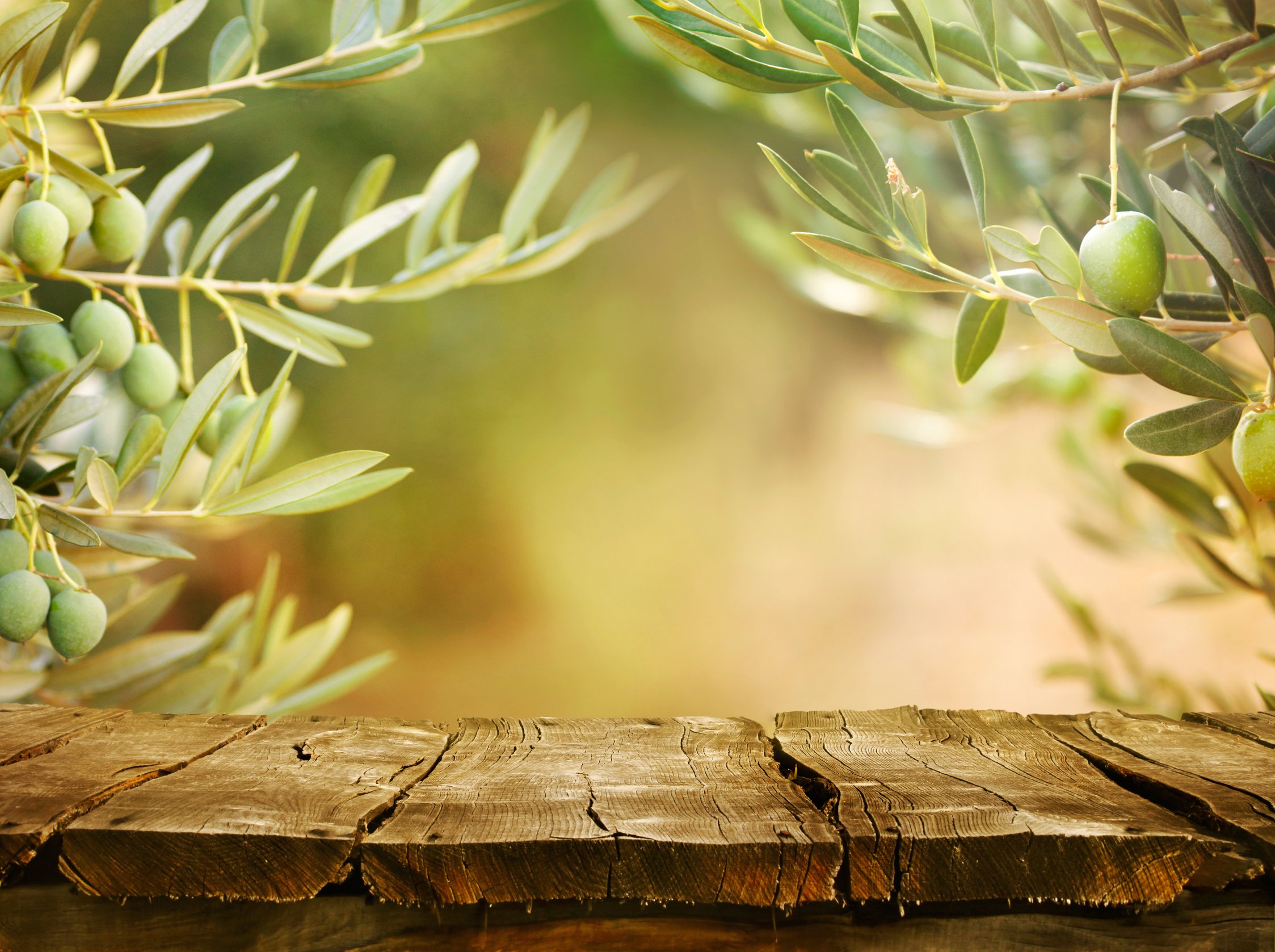 Olive Trees with Tabletop